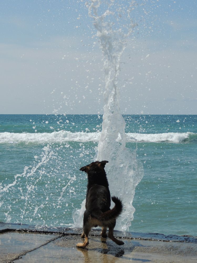 Photograph by Михаил Малец