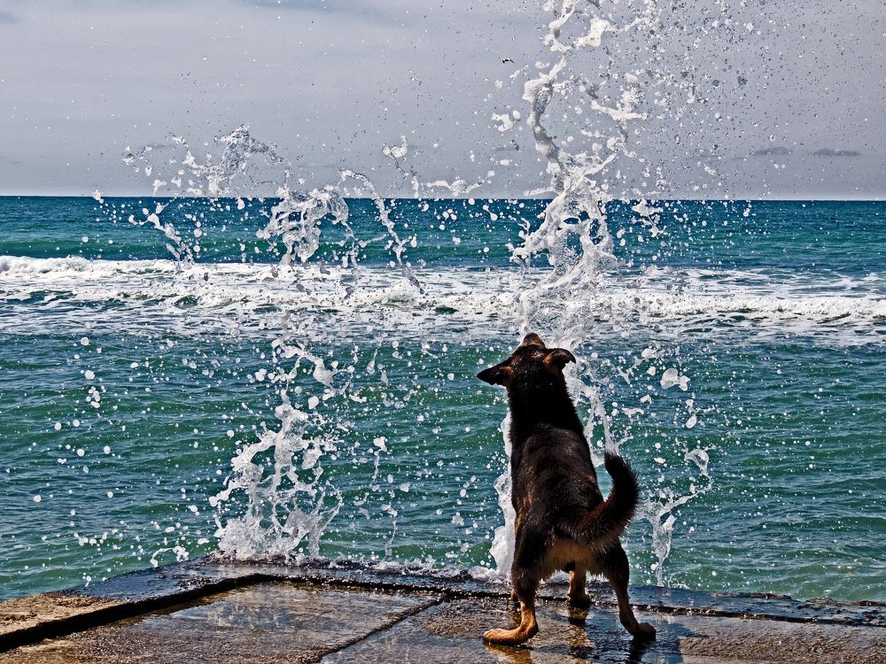 Photograph by Михаил Малец