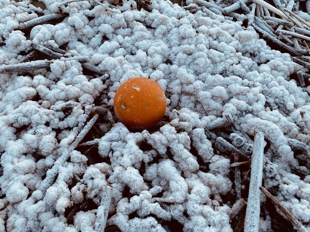 Photograph by Наталья Бирук