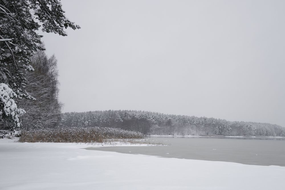 Photograph by Алексей Курносов