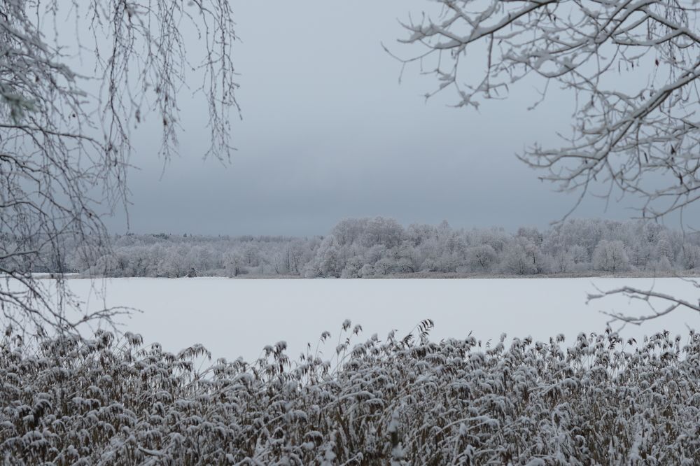 Photograph by Алексей Курносов