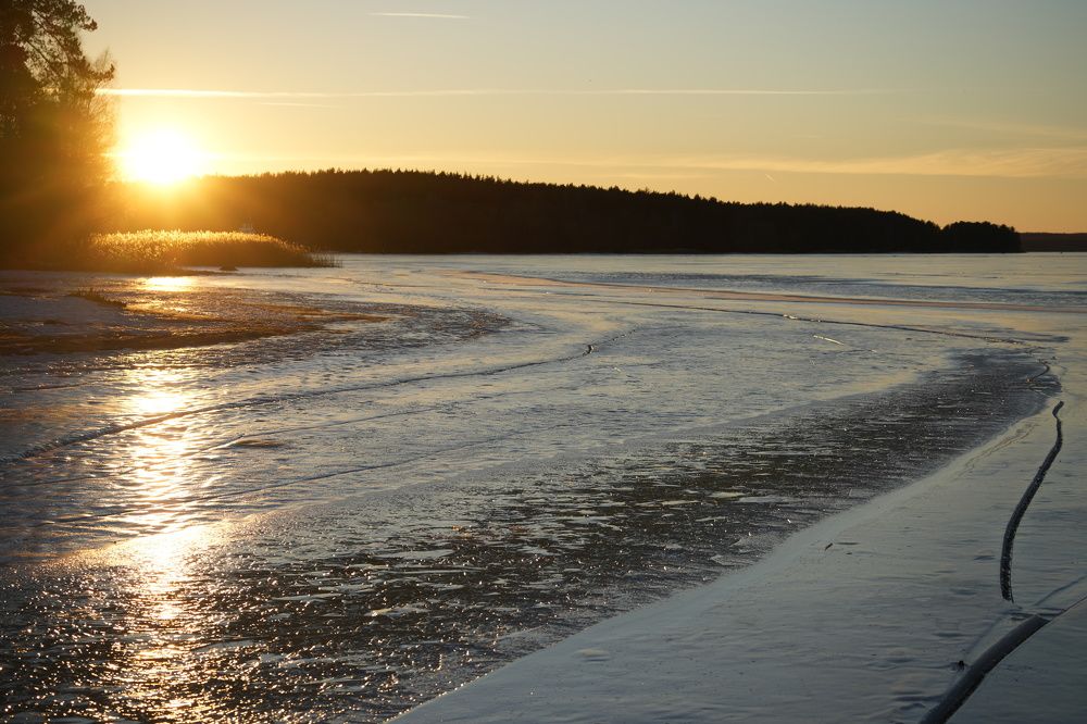 Photograph by Алексей Курносов