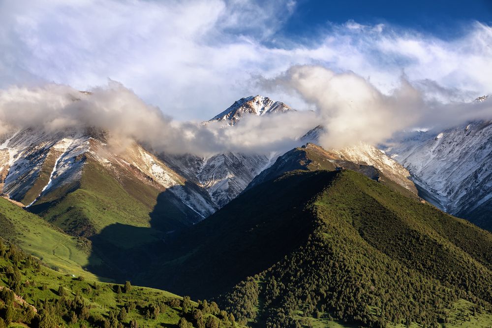 Весенние истории