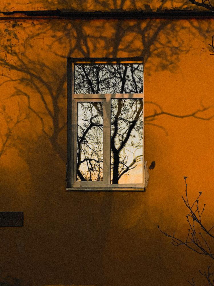 Photograph by Дмитрий Филев