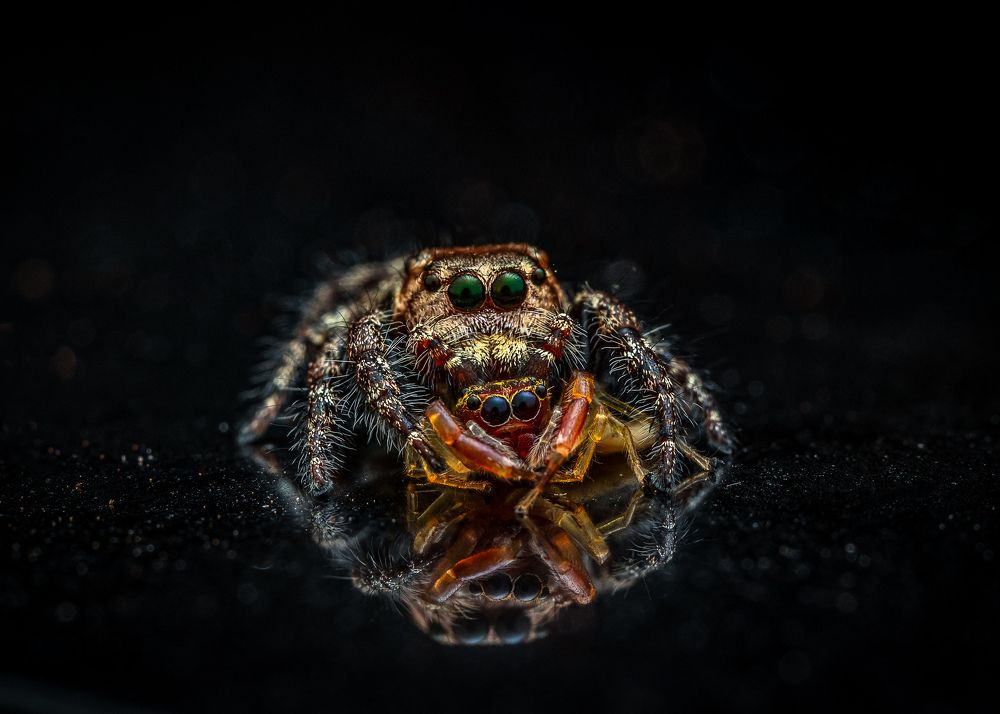 Photograph by Manjunath Acharya