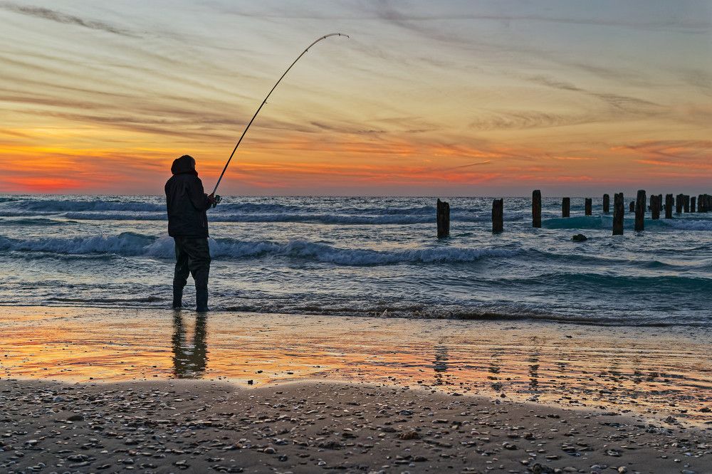 Фотография автора David Solodar