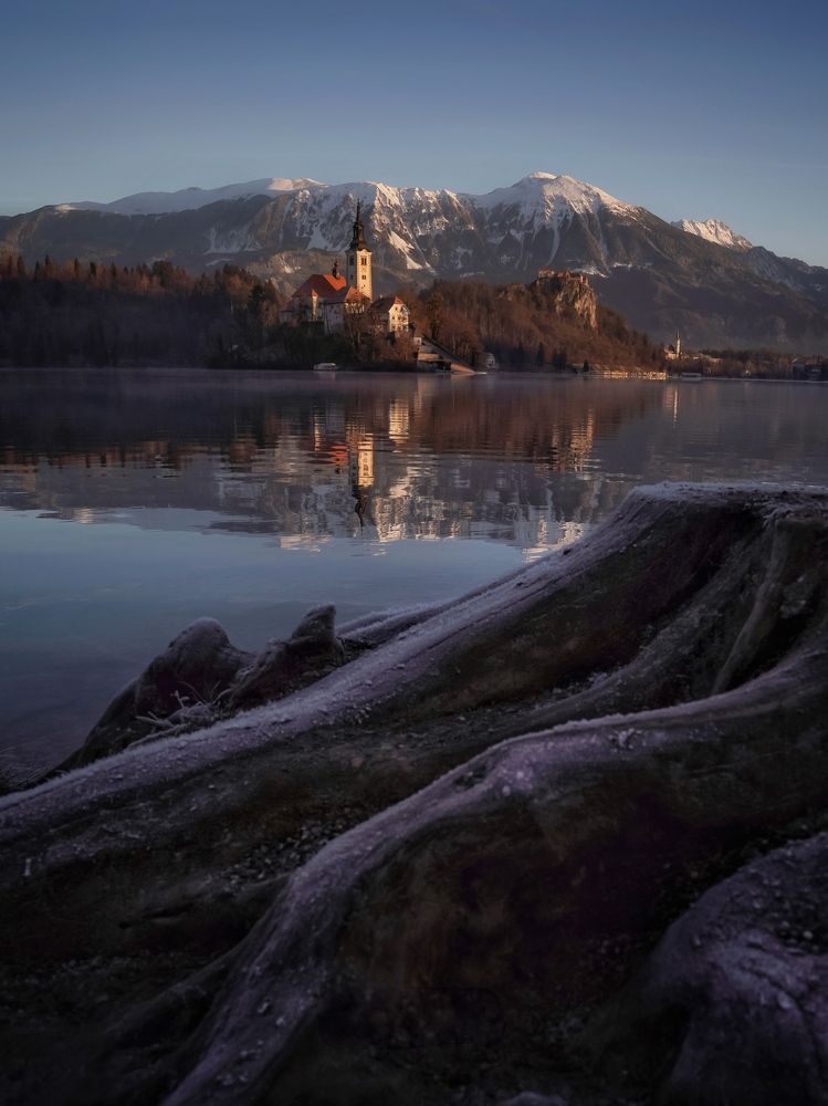 Фотография автора Henri Fitriadi