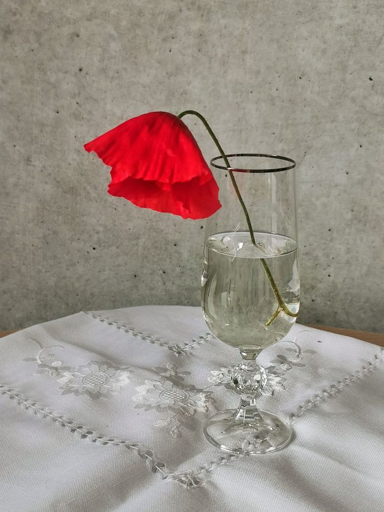 Photograph by Светлана Смирнова