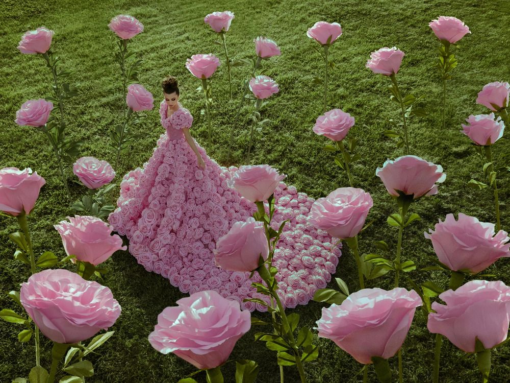 Photograph by Alexei Vladimir