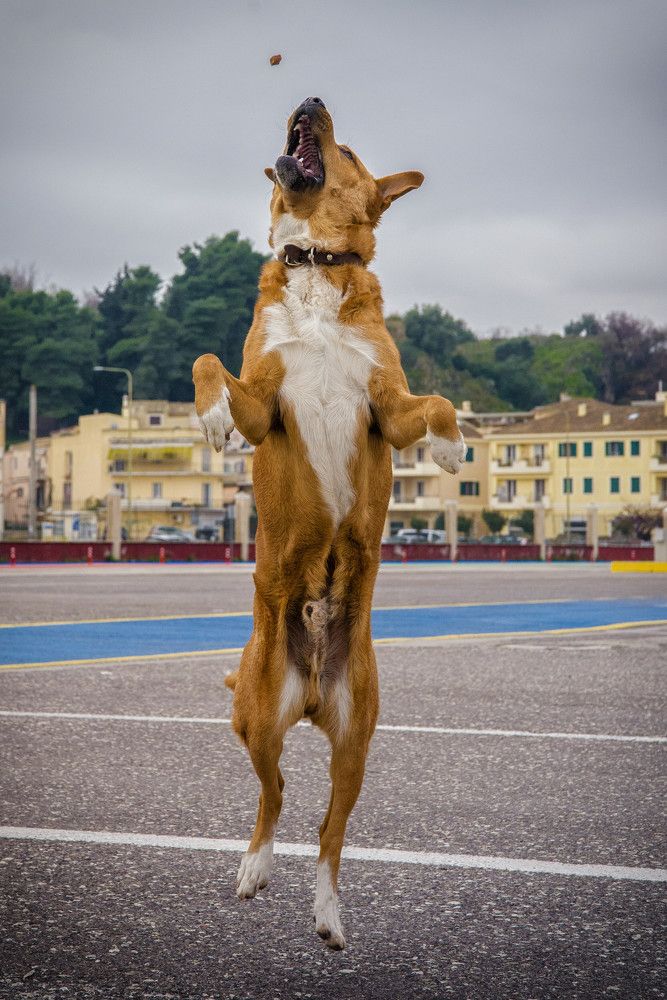 Photograph by Alexandros Melidis