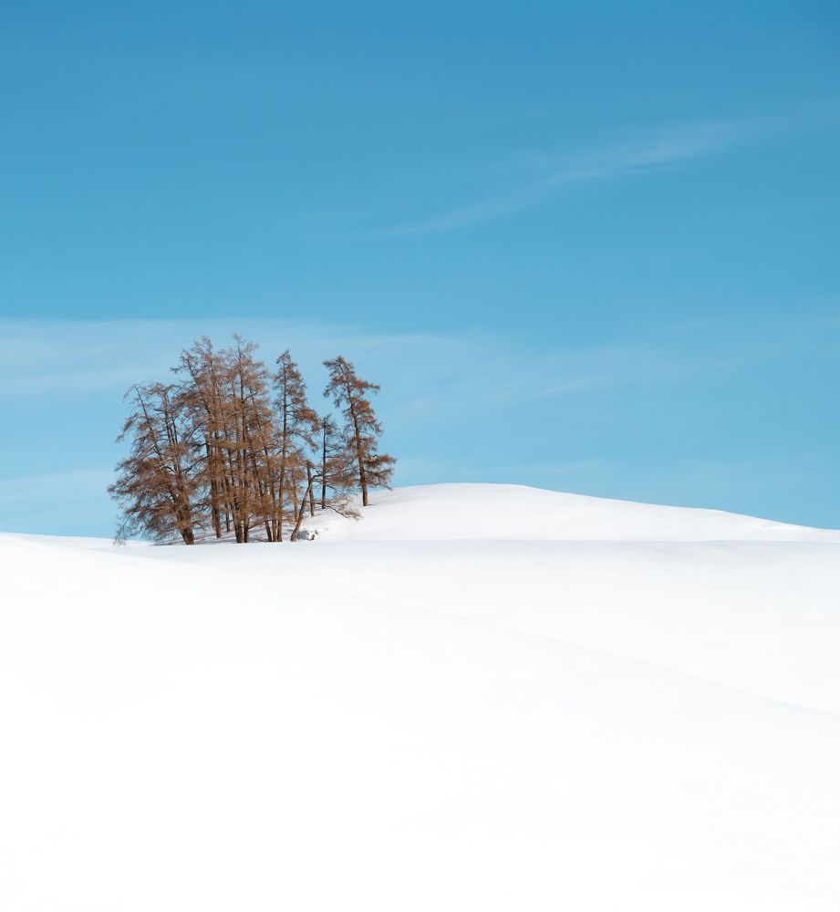 Photograph by 李长丰