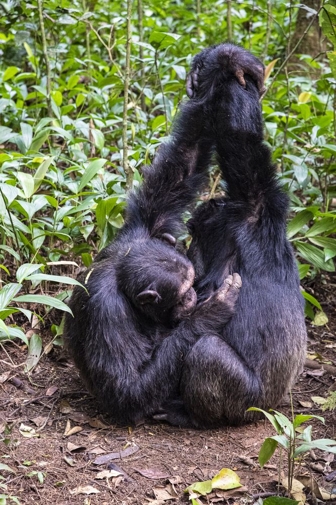 Photograph by Алексей Шаскольский