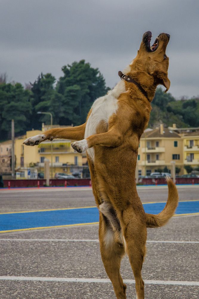 Photograph by Alexandros Melidis