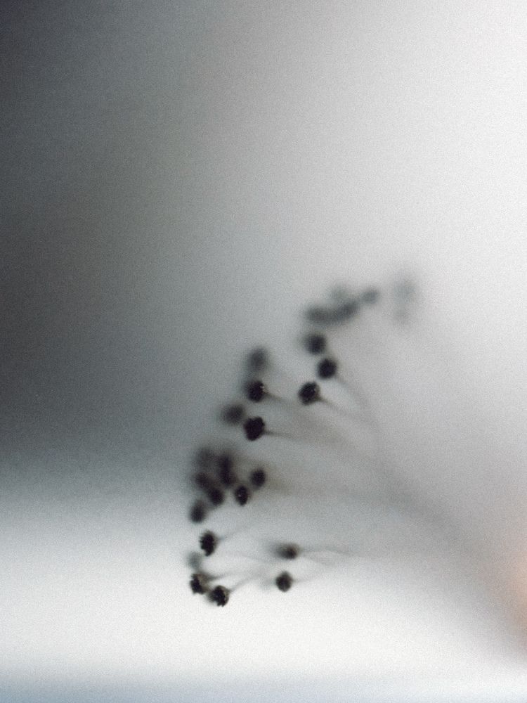 Photograph by Ксения Литвиненко