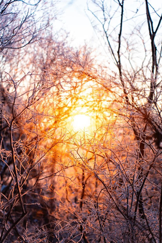 Photograph by Щебланов Виктор