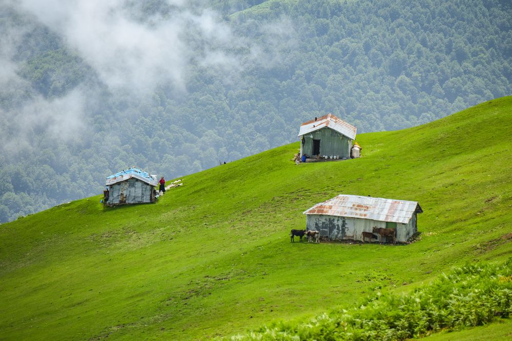 Фотография автора Farhad Alidost