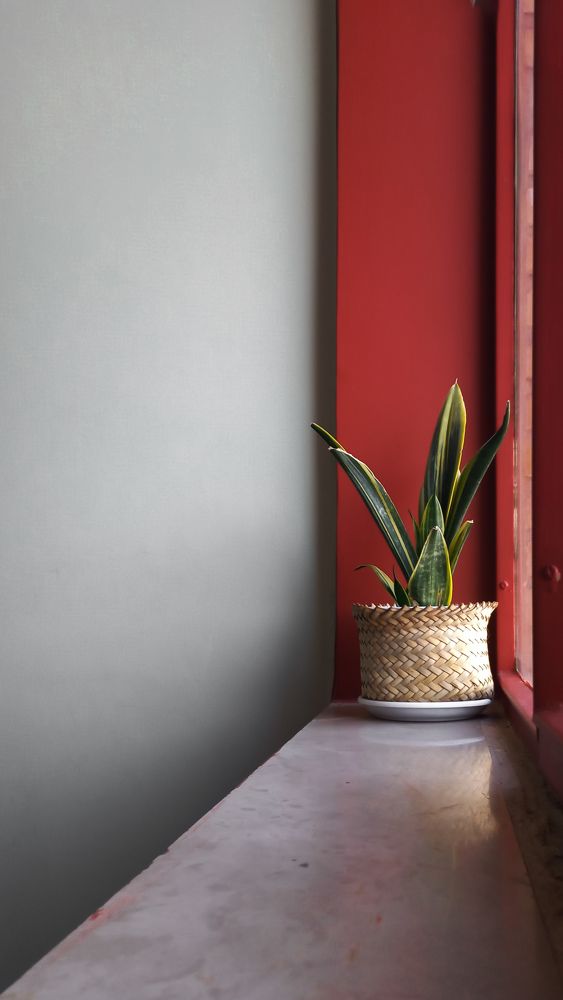 Photograph by Fatemeh Nz