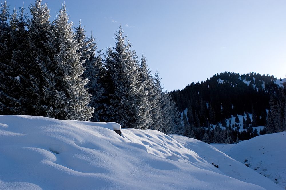 Photograph by Алексей Вяткин