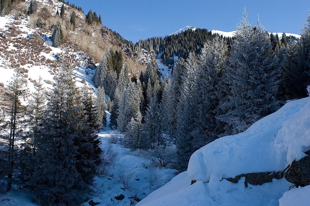 Photograph by Алексей Вяткин