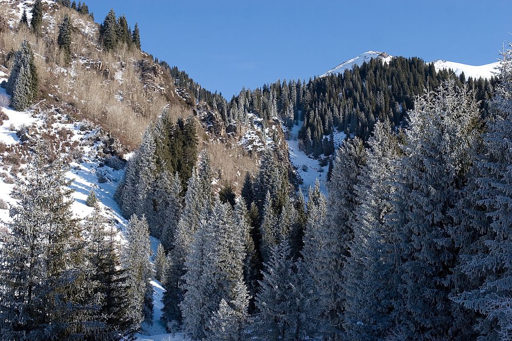 Photograph by Алексей Вяткин