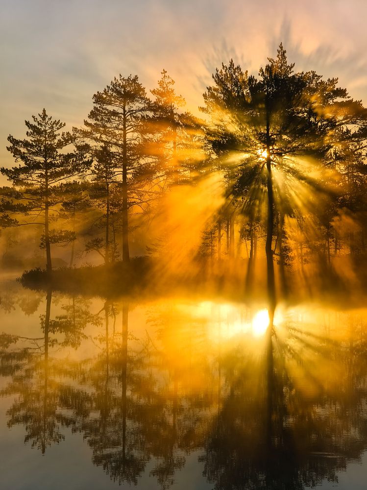 Photograph by Михаил Азаров