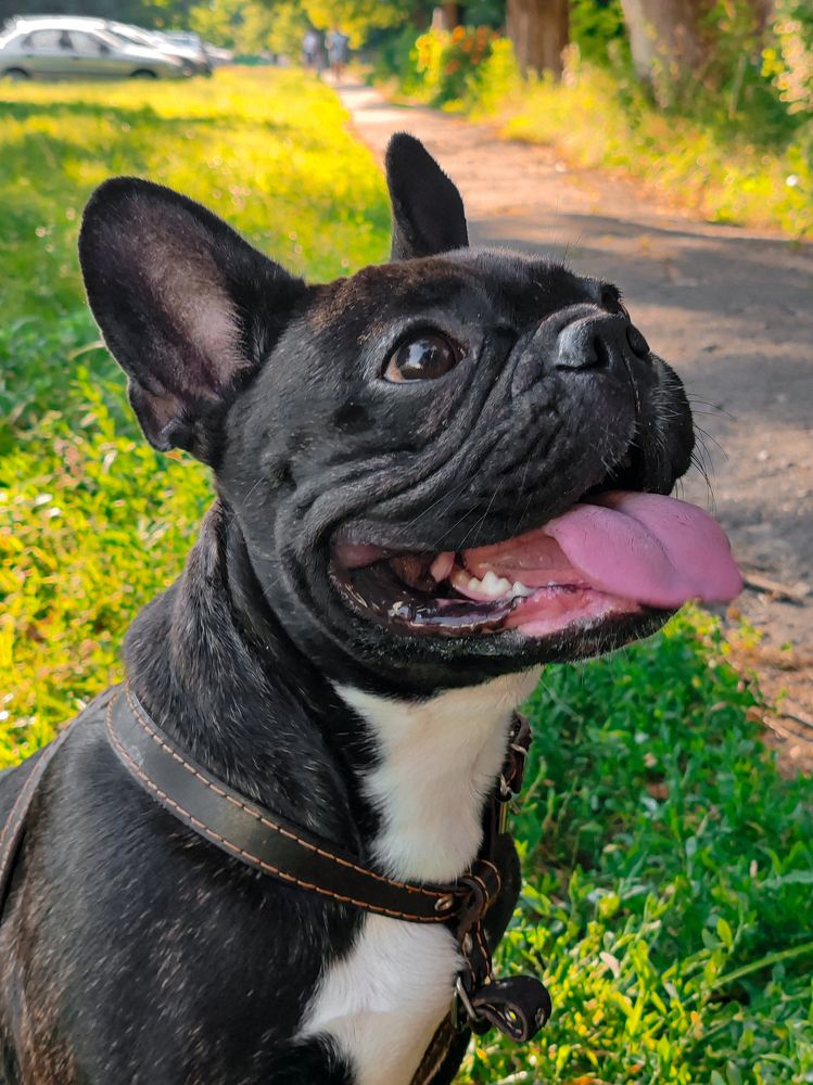 Фотография автора Любовь