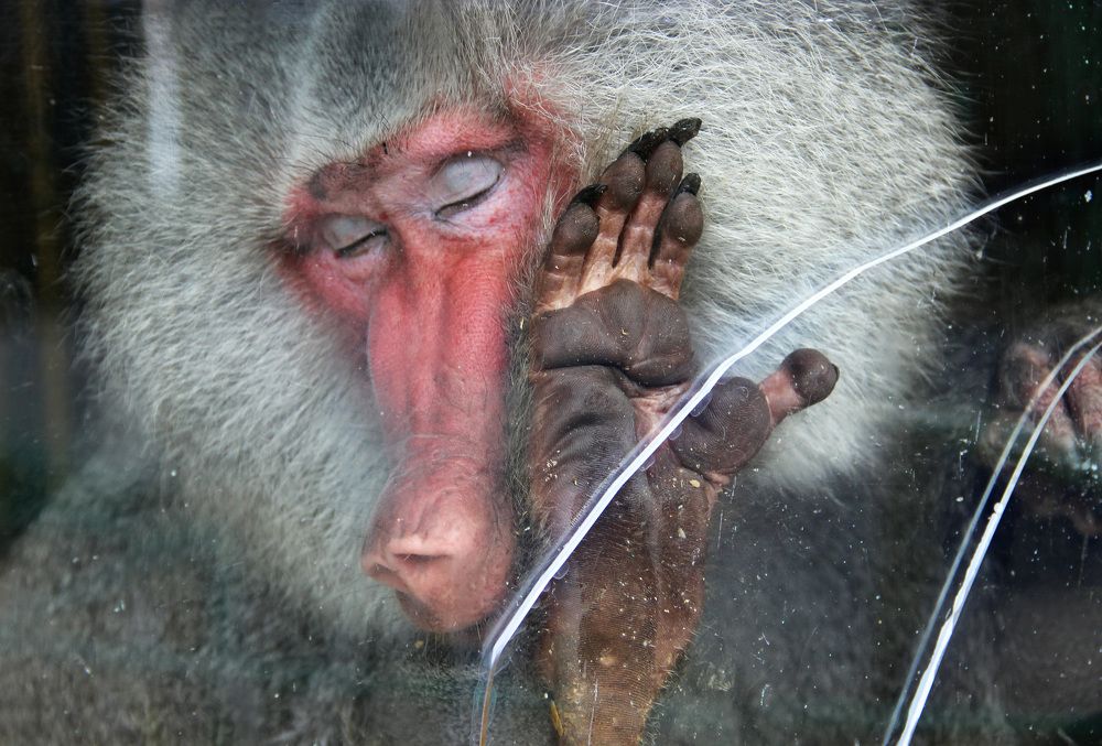 Photograph by Наталья Цветкова