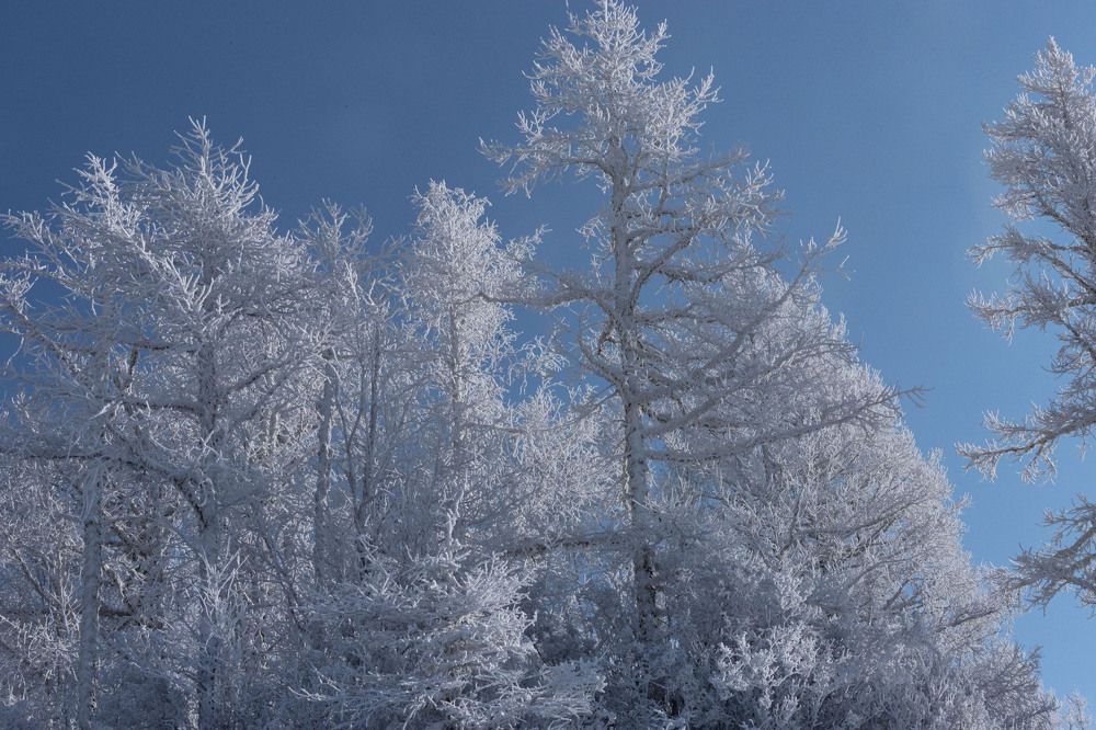 Photograph by ИРЕНА Цурпал