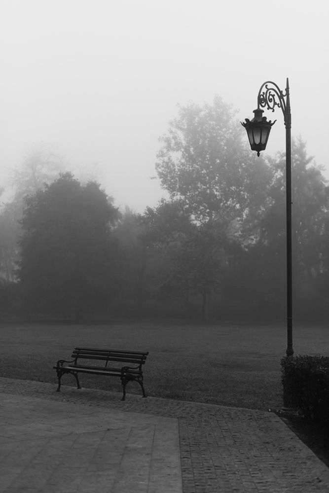 Photograph by Анна Чеснокова