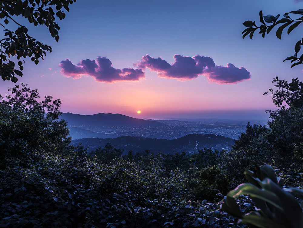 Photograph by Pati Goldberg