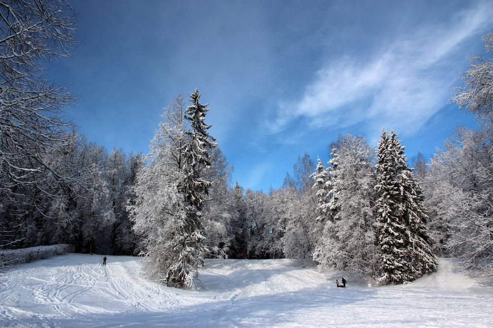 Зимний Павловск