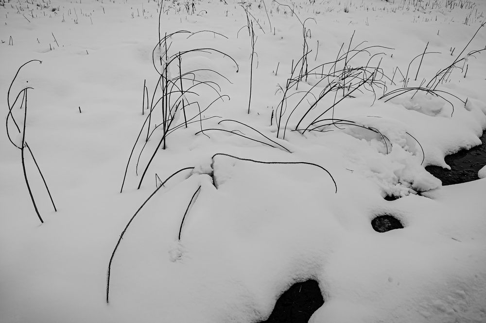 Photograph by Анна Берневик