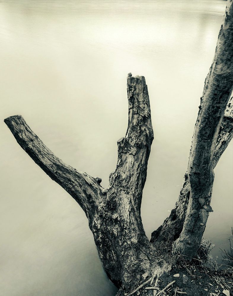 Photograph by Анна Берневик