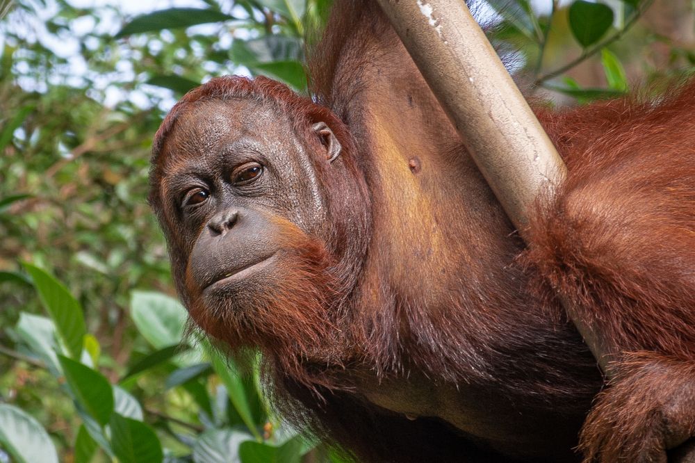 Photograph by Наталья Кокорина