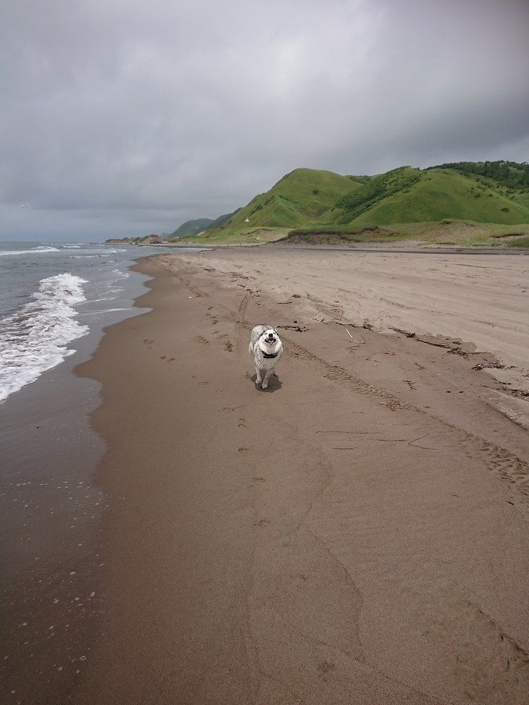Навстречу ветру.