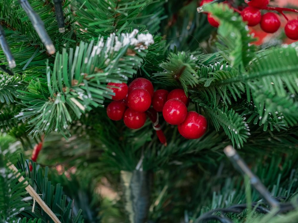 Photograph by Pavel Milovankin