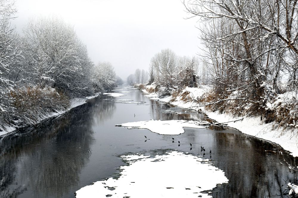 Photograph by MIHALIS KONSTANDINIDIS