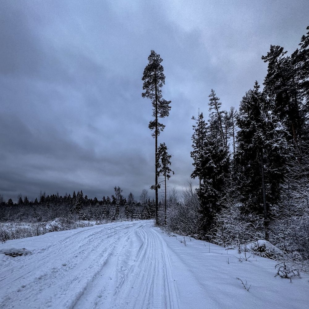 Photograph by Elena Mariushkina