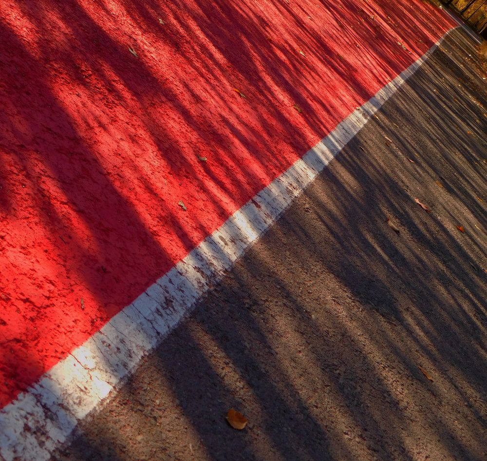 Photograph by Сергей Чеченов