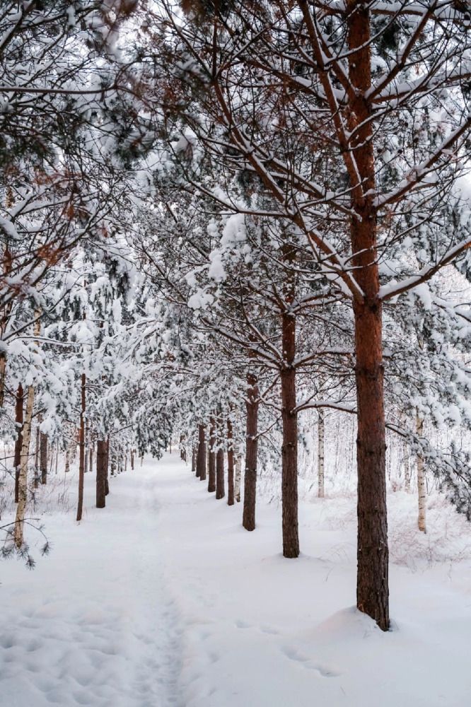 Photograph by Ангелина Басалыга