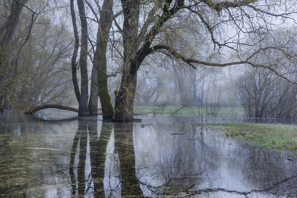весеннее половодье