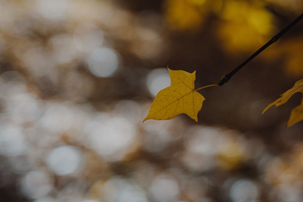 Photograph by Светлана Голик