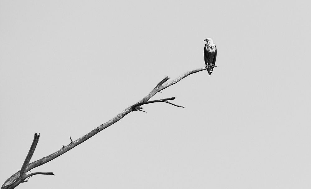 Photograph by Александр Гиль