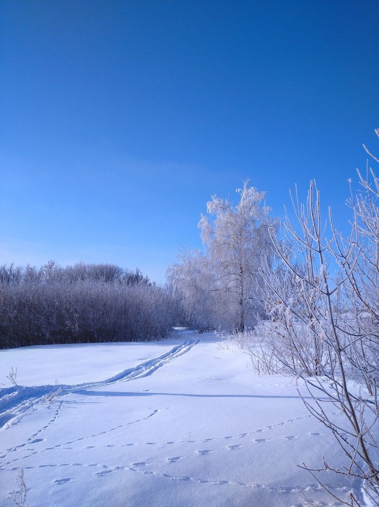Photograph by Елена Коробченко