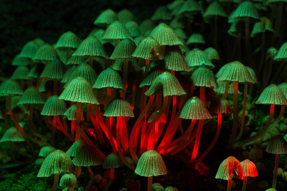 Photograph by Дмитрий Смирнов