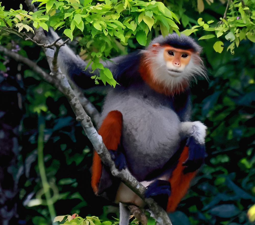 Фотография автора Quan Hung