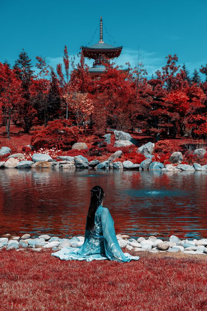 Жизнь танцовщицы-гейши