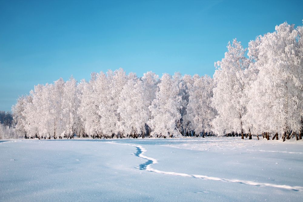 Photograph by Ольга Слотвинская