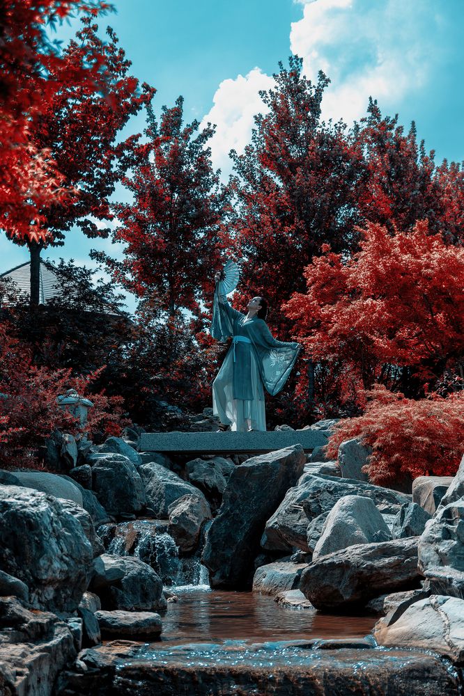 Жизнь танцовщицы-гейши