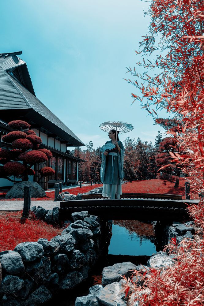 Жизнь танцовщицы-гейши